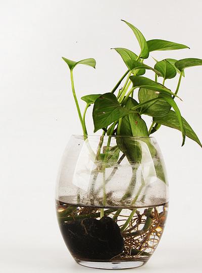 熱烈慶祝廈門得佳電子科技有限公司官網(wǎng)改版上線